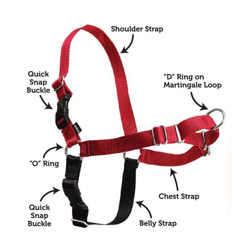 easy walk dog harness amazon|easy walk harness by premier.